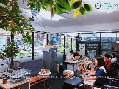 Bó nhiều cành lá si giả làm cây xanh đẹp như thật [2 loại - Bó 3/10/12 cành] CANHLA-04