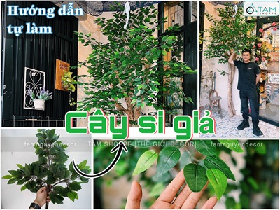 Hướng dẫn tự làm cây si giả trang trí nhà cửa mát mắt cực chill cùng Tâm Nguyễn Decor