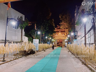 Thi công 100m hàng rào bông cỏ lau xù khô tại Tu viện Vĩnh Đức - Tp.Thủ Đức THICONG-01