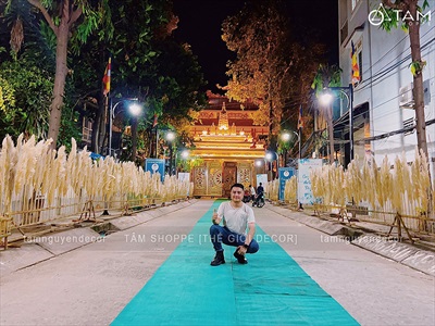 Thi công 100m hàng rào bông cỏ lau xù khô tại Tu viện Vĩnh Đức - Tp.Thủ Đức THICONG-01