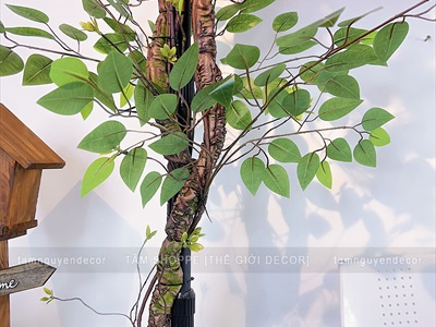 Concept cây hoa giấy rực rỡ - Góc ngồi thư giãn [2025 - Tâm Nguyễn Decor] CC-HOAGIA-01