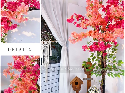 Concept cây hoa giấy rực rỡ - Góc ngồi thư giãn [2025 - Tâm Nguyễn Decor] CC-HOAGIA-01