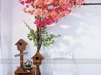 Concept cây hoa giấy rực rỡ - Góc ngồi thư giãn [2025 - Tâm Nguyễn Decor] CC-HOAGIA-01