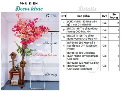 Concept cây hoa giấy rực rỡ - Góc ngồi thư giãn [2025 - Tâm Nguyễn Decor] CC-HOAGIA-01