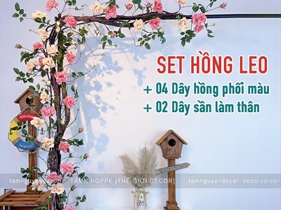 Concept Decor Giàn Hồng Leo Kiểu Pháp Vintage – Lãng Mạn & Tinh Tế [2025 - Tâm Nguyễn Decor] CC-HOAGIA-02