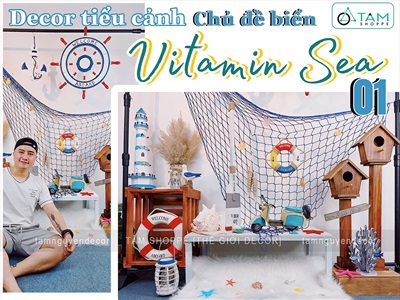 Hướng dẫn trang trí góc nhỏ tiểu cảnh biển đầy ắp 