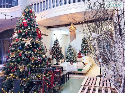 Nguồn gốc ý nghĩa 6 biểu tượng giáng sinh