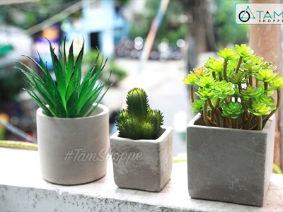 Chậu trồng cây xi măng vuông màu tự nhiên nhiều cỡ CTC-XIMANG-01