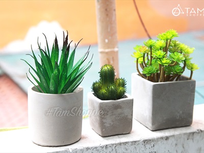 Chậu trồng cây xi măng trụ tròn màu tự nhiên nhiều cỡ CTC-XIMANG-02