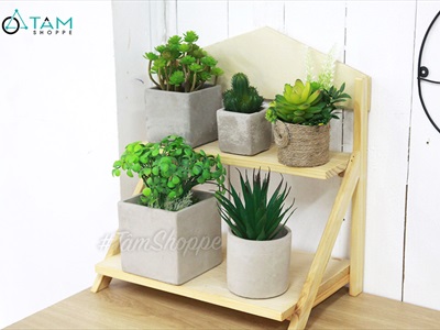 Chậu trồng cây xi măng trụ tròn màu tự nhiên nhiều cỡ CTC-XIMANG-02