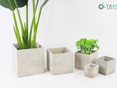 Chậu trồng cây xi măng vuông màu tự nhiên nhiều cỡ CTC-XIMANG-01