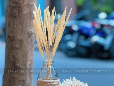 Chai thủy tinh quấn dây thừng dáng bom nút bần cao 13cm [3 kiểu chọn - Kèm nút] CHAILO-HM-01