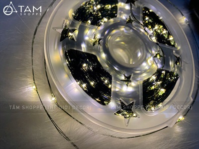 Dây đèn led đom đóm trơn [Dây xanh - Led dày - Remote] DAYDEN-05