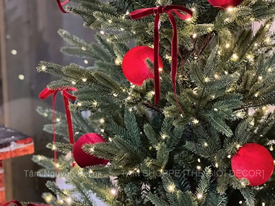 Dây đèn led đom đóm trơn [Dây xanh - Led dày - Remote] DAYDEN-05