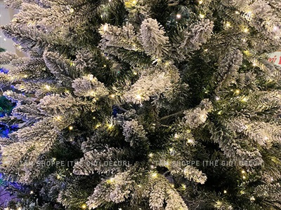 Dây đèn led đom đóm trơn [Dây xanh - Led dày - Remote] DAYDEN-05