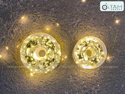 Dây đèn led đom đóm trơn [Dây xanh - Led dày - Remote] DAYDEN-05