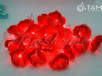 Dây đèn led hoa lụa dạ quang [5m 20Led - Điện] DAYDEN-18