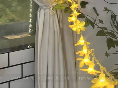 Dây đèn led hoa mai hoa đào phát sáng [Nhiều kiểu - Điện] DAYDEN-24