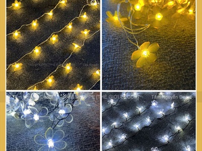 Dây đèn led hoa mai hoa đào phát sáng [Nhiều kiểu - Điện] DAYDEN-24