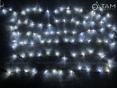 Dây đèn led hoa mai hoa đào phát sáng [Nhiều kiểu - Điện] DAYDEN-24