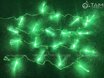 Dây đèn led sợi quang học bắt sáng [5m 20Led - Điện] DAYDEN-19
