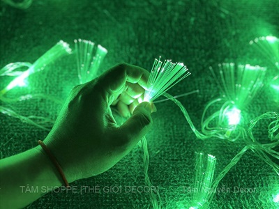 Dây đèn led sợi quang học bắt sáng [5m 20Led - Điện] DAYDEN-19