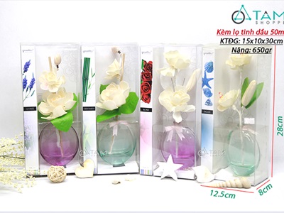 Bộ tinh dầu tự khuếch tán lọ màu trong suốt 50ml