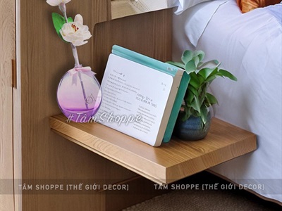 Bộ tinh dầu tự khuếch tán lọ màu trong suốt 50ml
