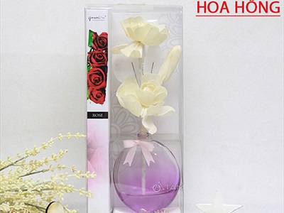 Bộ tinh dầu tự khuếch tán lọ màu trong suốt 50ml
