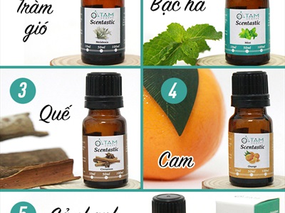 Combo: 01 đèn đốt nến + 01 vỉ nến 10 viên 4h + 01 tinh dầu 10ml (được chọn mùi) DDTD-COMBO-01