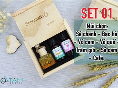 Set 01 lọ đựng tinh dầu treo xe + 02 chai tinh dầu Scentastic 10ml kèm hộp gỗ TD-TX-01