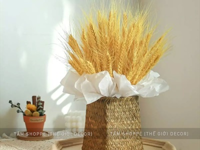 Bó lúa mạch khô trang trí 110gr (80-100 cành) HOAKHO-02