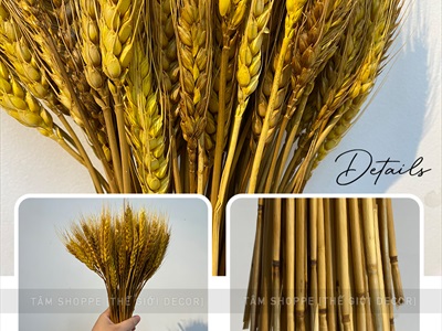 Bó lúa mạch khô trang trí 110gr (80-100 cành) HOAKHO-02