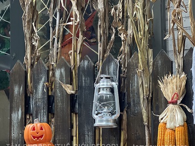 Bó 05 cây bắp khô trang trí [Ngẫu nhiên - 120/150cm] CAYLAKHO-01