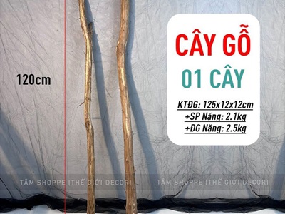 Cây gỗ tự nhiên thân tròn lột vỏ dài 120cm ĐK3-4.5cm CUI-02