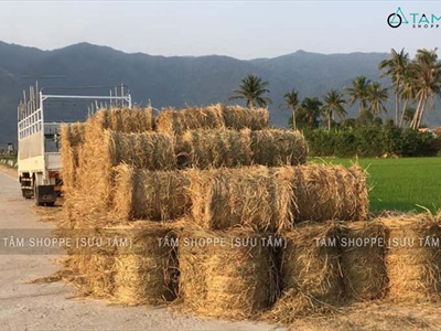 Cuộn rơm khô trang trí loại đẹp nhiều cỡ PKHM-25