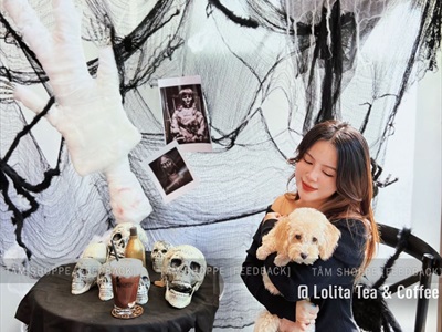 Mô hình đầu lâu hộp sọ trang trí nhiều cỡ XUONG-DAULAU-01