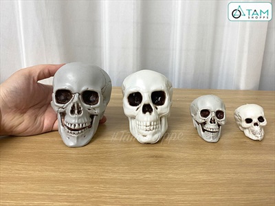 Mô hình đầu lâu hộp sọ trang trí nhiều cỡ XUONG-DAULAU-01