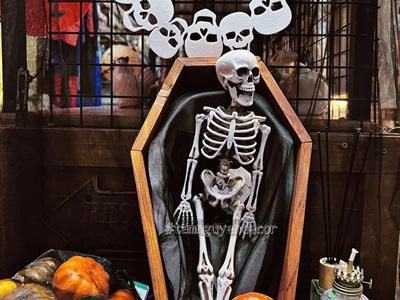 Mô hình quan tài Dracula gỗ cỡ nhỏ D40cm QUANTAI-02