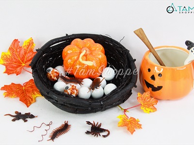 Mô hình tổ quạ đen trang trí bằng rễ cây TCHIM-01