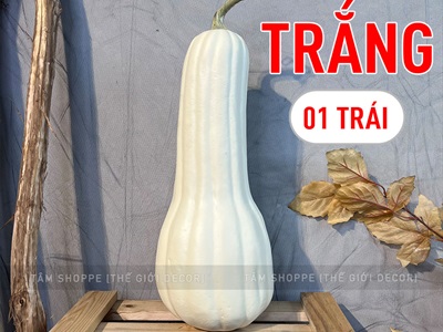 Quả bí ngô Halloween như thật trái dài cỡ lớn TRAI-BINGO-04