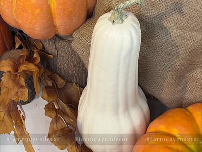 Quả bí ngô Halloween như thật trái dài cỡ lớn TRAI-BINGO-04