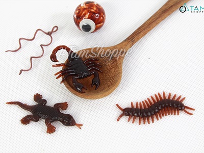 Set 05 con côn trùng giả như thật mini nâu đen TCV-CONTRUNG