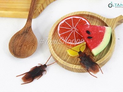 Set 05 con côn trùng giả như thật mini nâu đen TCV-CONTRUNG