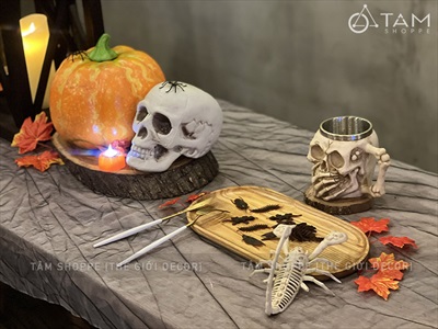 Set 05 con côn trùng giả như thật mini nâu đen TCV-CONTRUNG