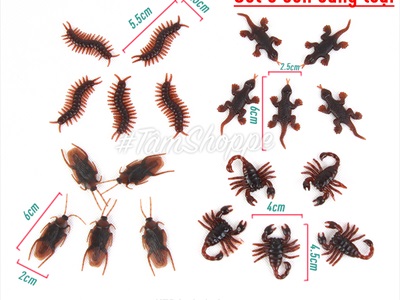 Set 05 con côn trùng giả như thật mini nâu đen TCV-CONTRUNG