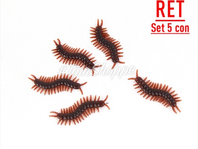 Set 05 con côn trùng giả như thật mini nâu đen TCV-CONTRUNG