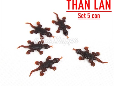 Set 05 con côn trùng giả như thật mini nâu đen TCV-CONTRUNG
