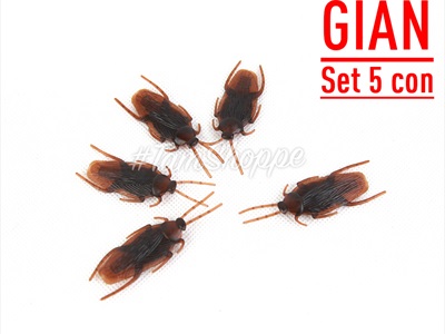Set 05 con côn trùng giả như thật mini nâu đen TCV-CONTRUNG