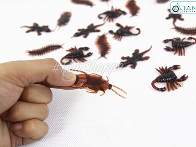 Set 05 con côn trùng giả như thật mini nâu đen TCV-CONTRUNG
